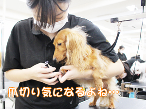 １年生、カットもがんばっています！